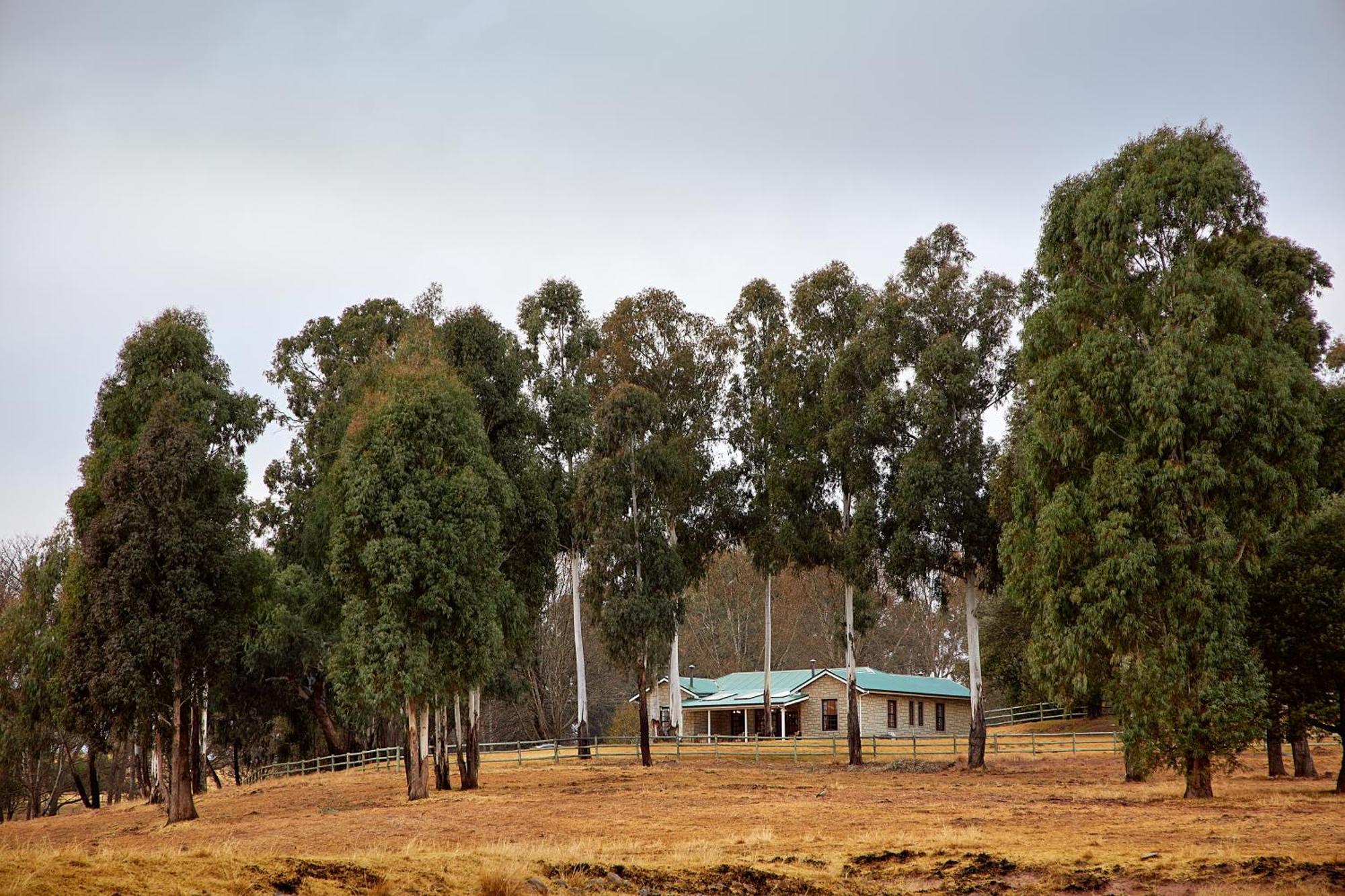 מלון Garden Castle First Group Bushman'S Nek מראה חיצוני תמונה